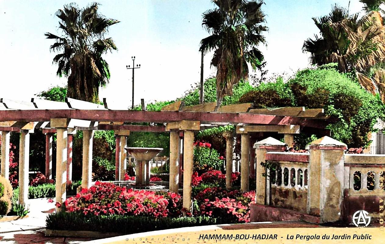 Hammam-Bou-Hadjar - Jardin Public - Pergola - 1958.jpg